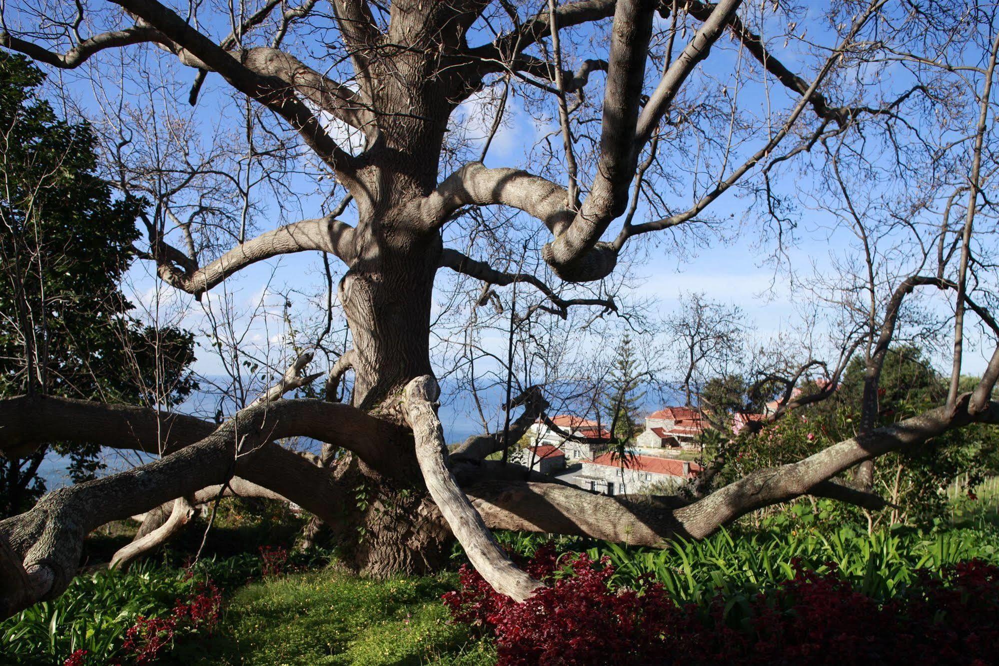 Quinta Das Vinhas Calheta Kültér fotó