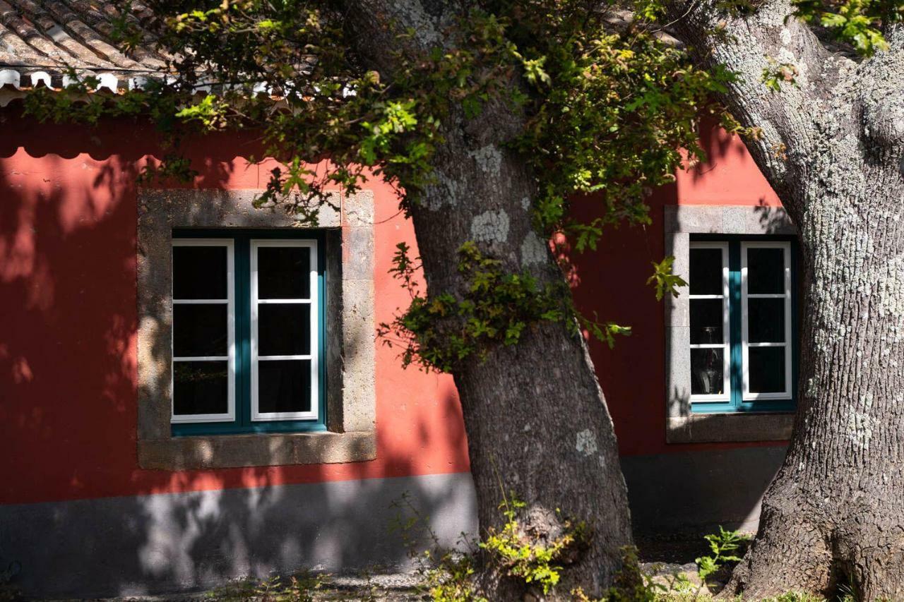 Quinta Das Vinhas Calheta Kültér fotó