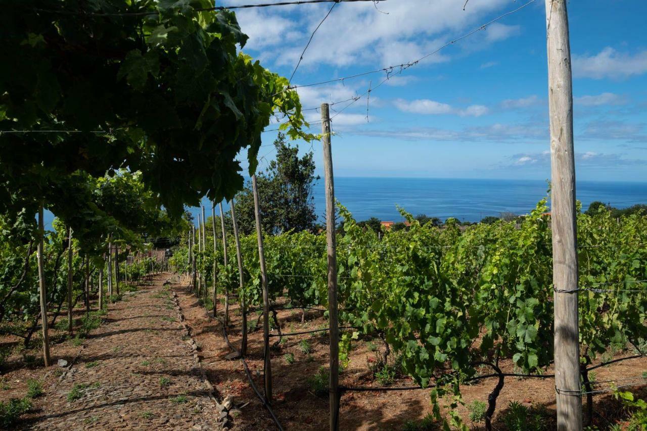 Quinta Das Vinhas Calheta Kültér fotó